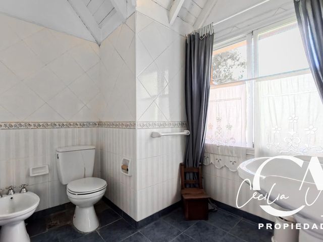 place photo 60
