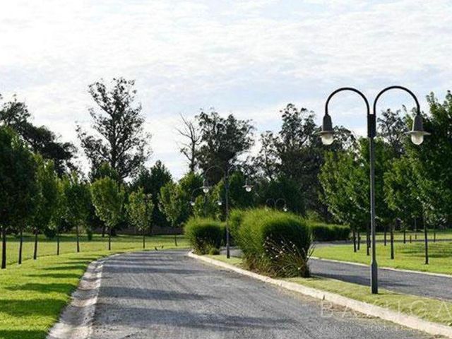 place photo 24