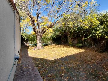 place photo 37