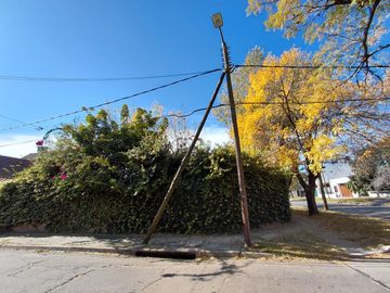place photo 47