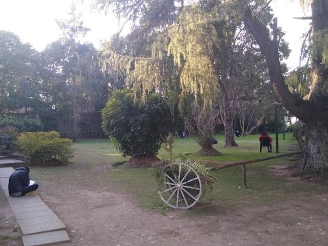place photo 21