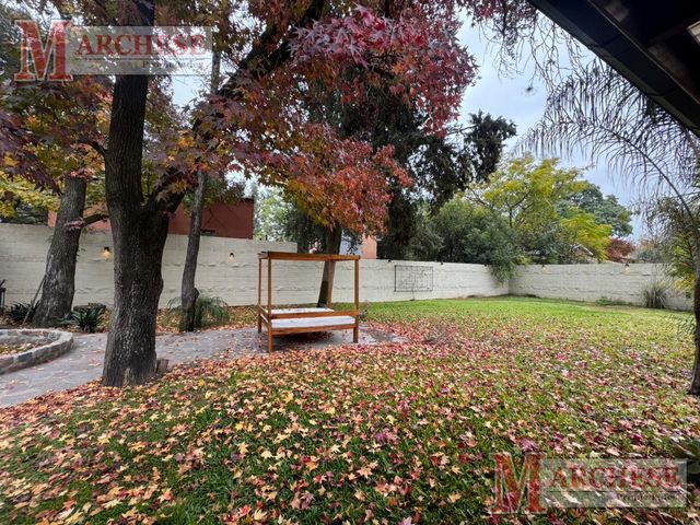 place photo 47