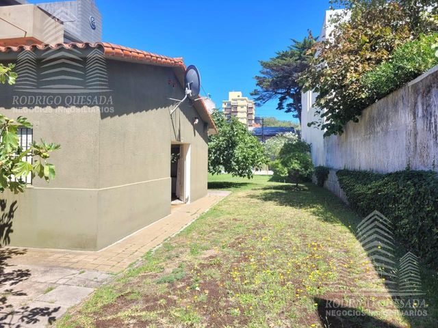 place photo 44