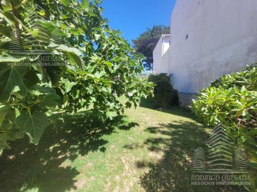 place photo 39