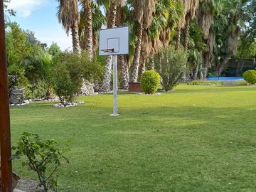 place photo 21