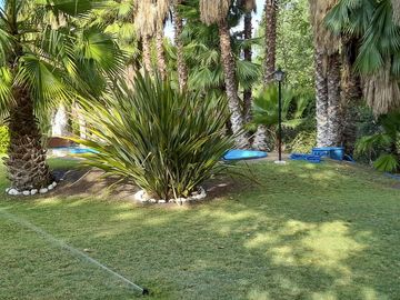 place photo 41