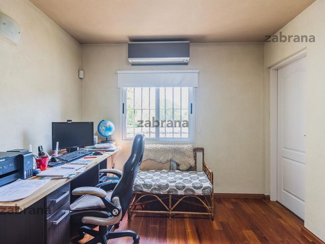 place photo 45