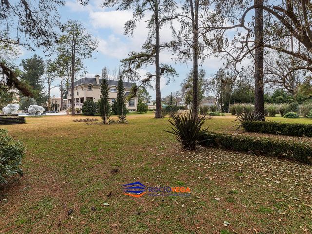 place photo 81
