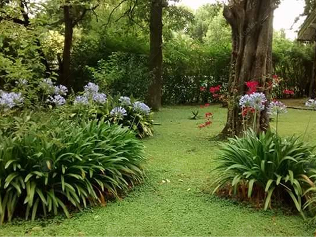 place photo 29