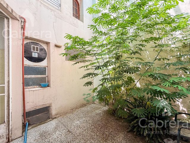 place photo 50