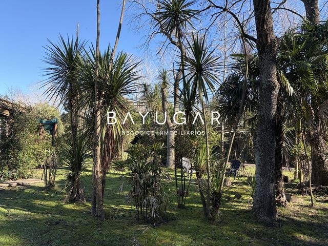 place photo 37