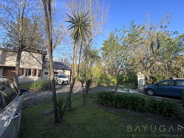 place photo 35
