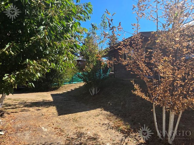 place photo 53