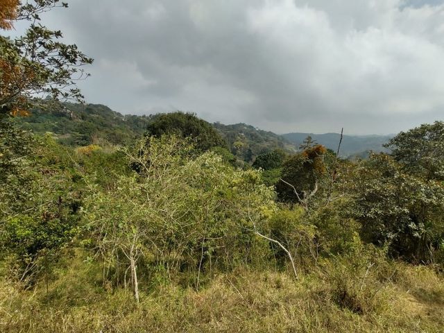 place photo 38