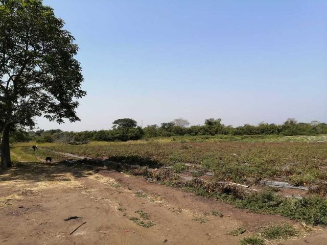 place photo 15