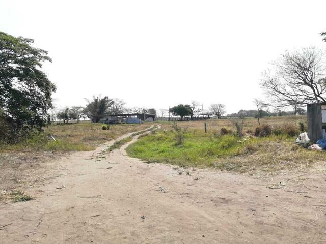 place photo 19