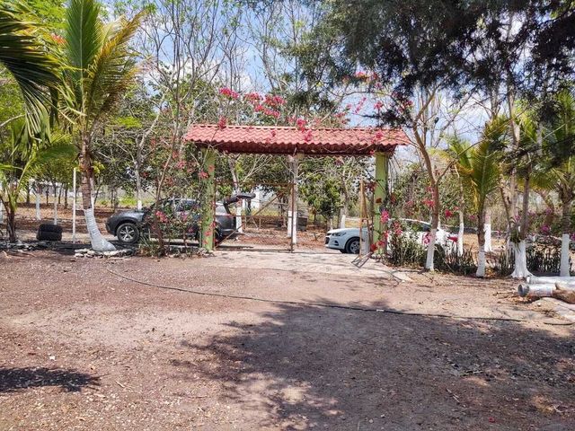 place photo 19