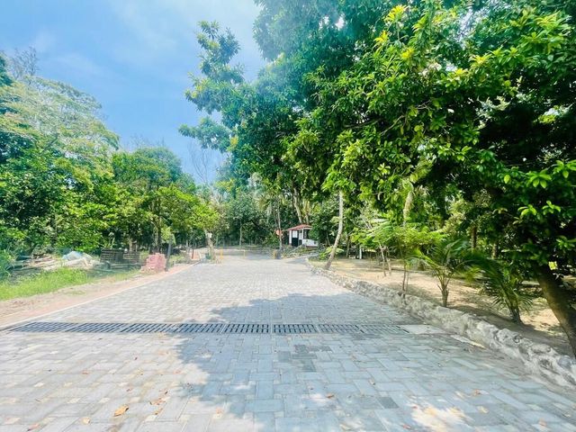 place photo 11