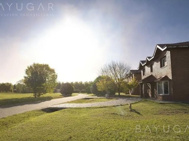 place photo 43