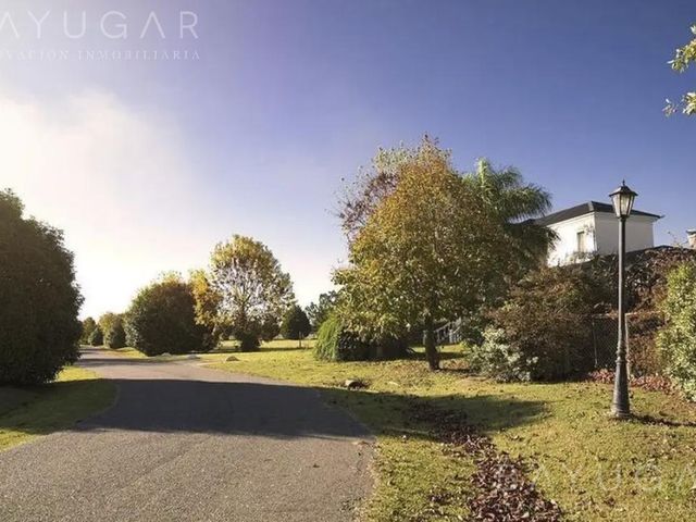 place photo 42