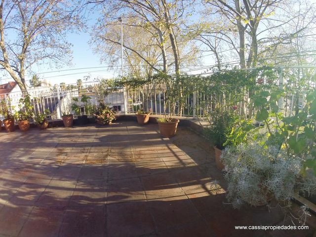 place photo 67