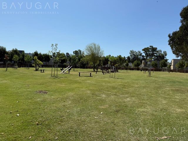 place photo 29