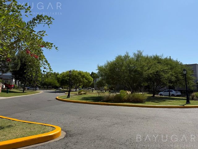 place photo 28