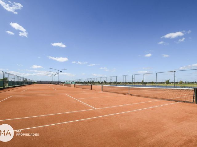 place photo 39