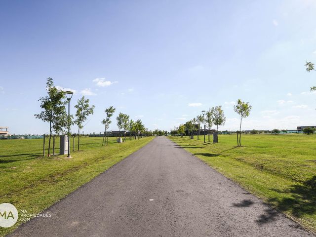 place photo 34
