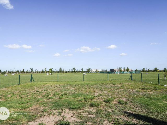 place photo 33