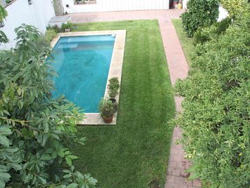 place photo 25