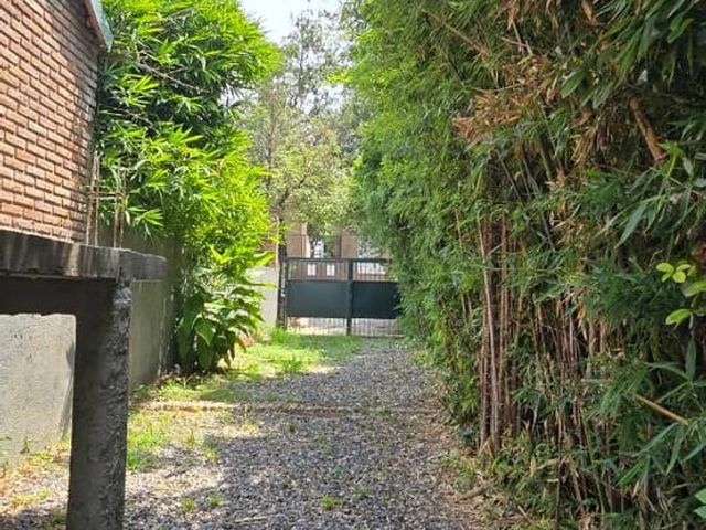 place photo 68