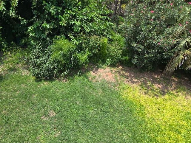 place photo 58