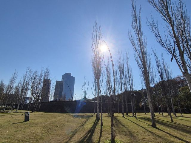 place photo 55