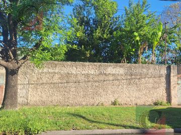 place photo 19