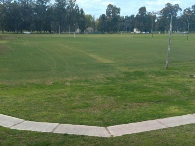 place photo 17