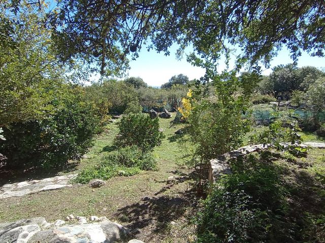 place photo 54