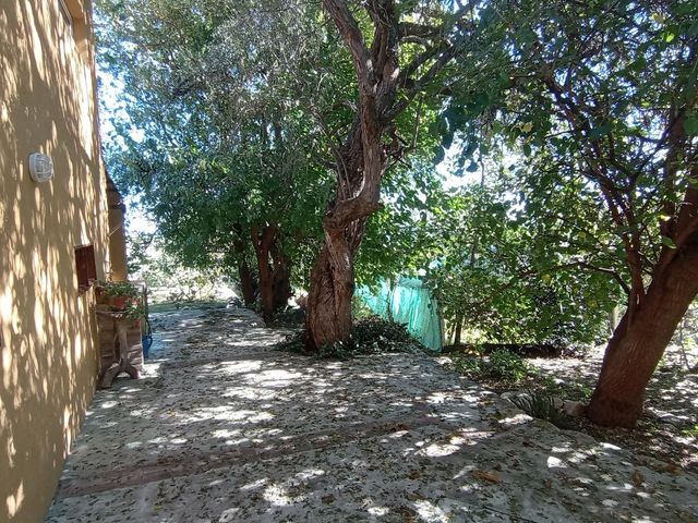place photo 48