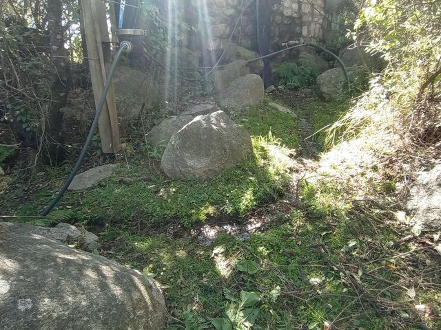 place photo 76