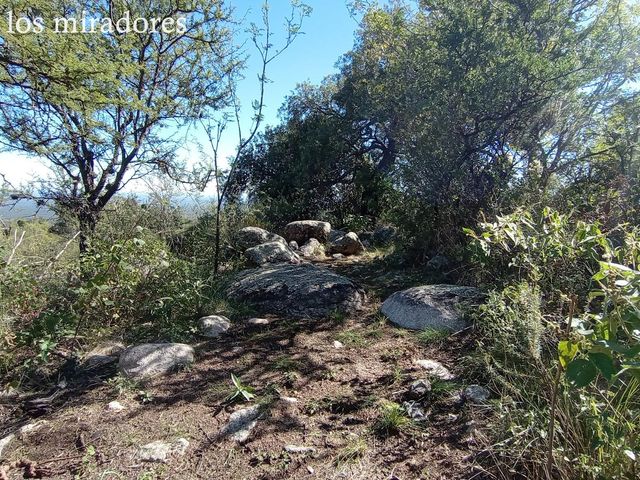 place photo 70