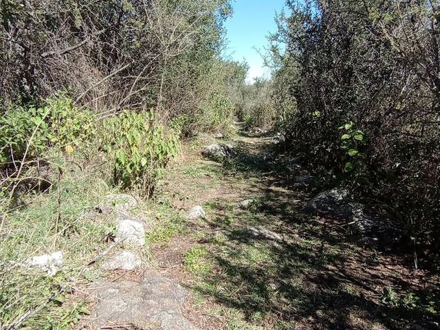 place photo 68