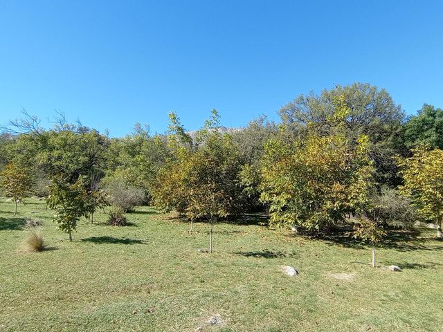 place photo 52