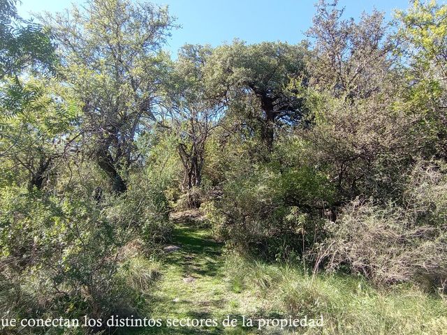 place photo 67