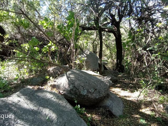 place photo 77