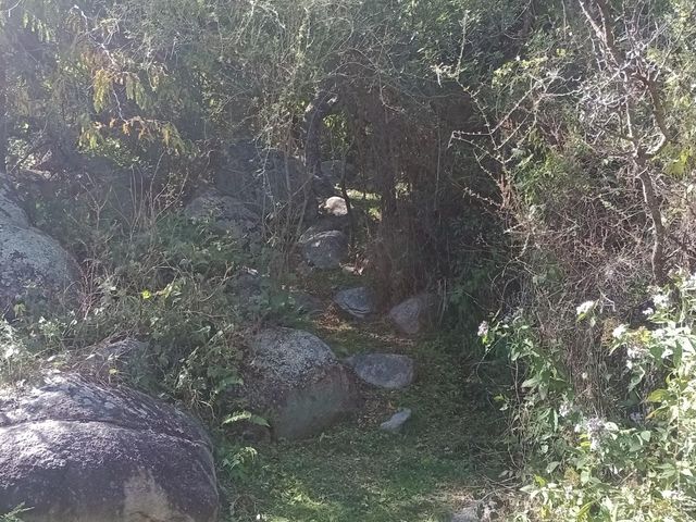 place photo 79
