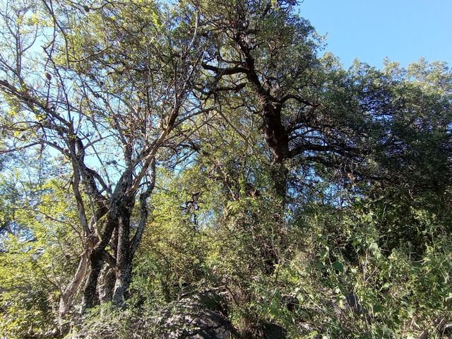 place photo 69
