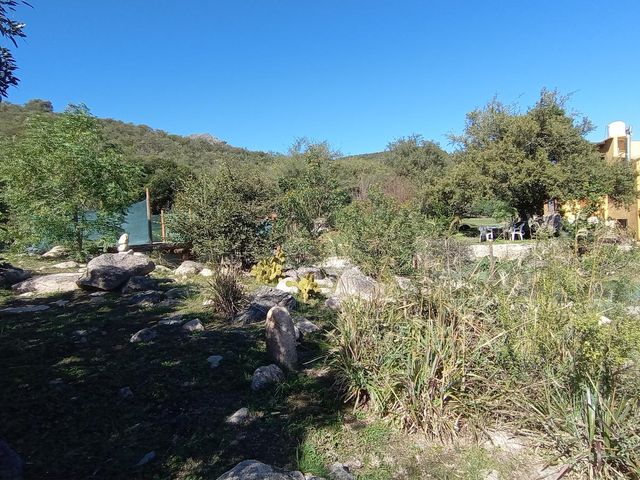 place photo 66