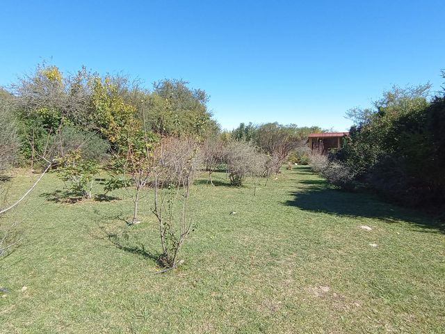 place photo 55