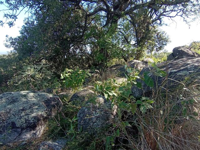 place photo 71