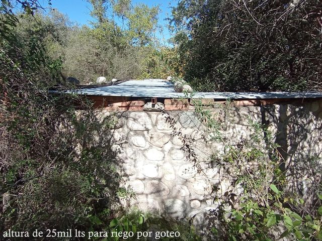 place photo 74
